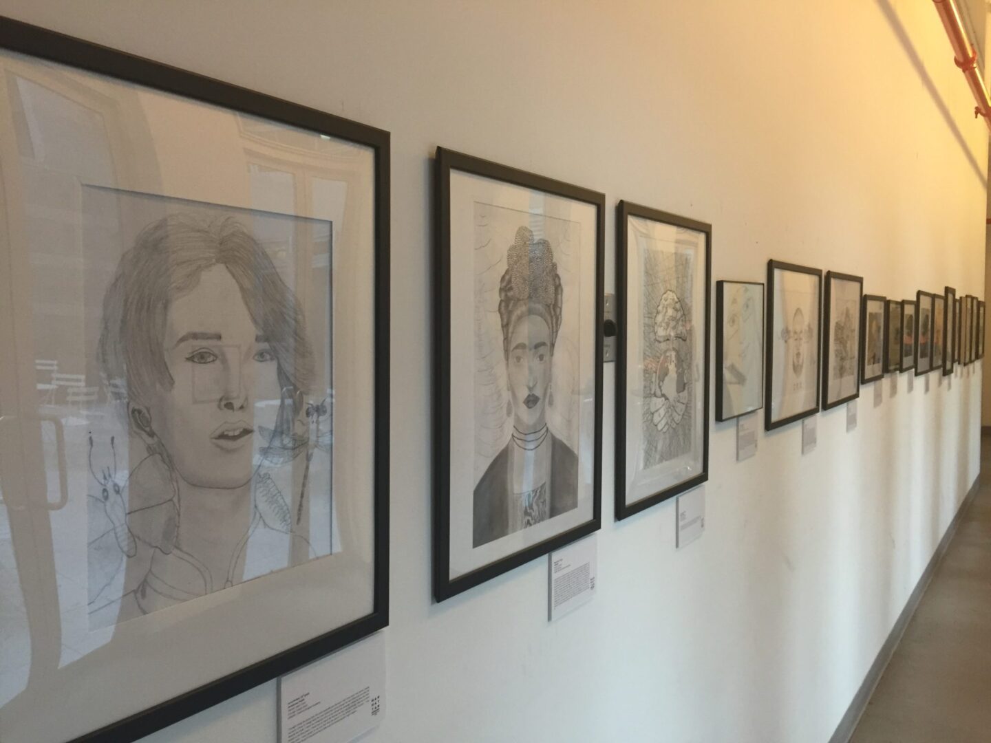 A line of framed drawings on a wall.