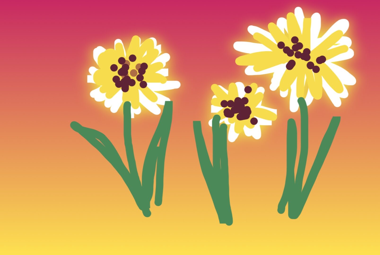A drawing of three yellow flowers on a pink background.