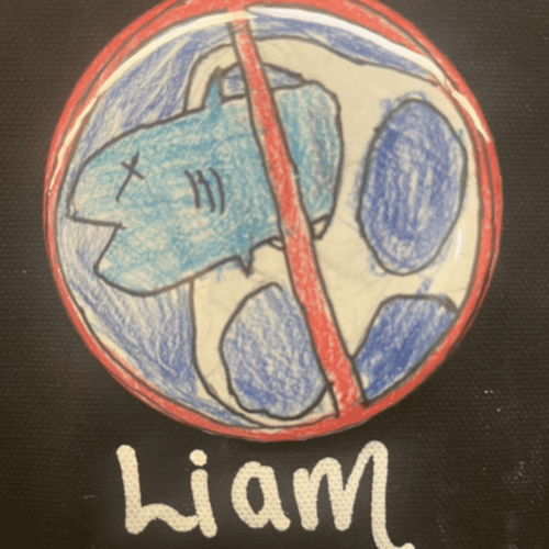A handmade button with a drawing of a blue creature divided by a red diagonal line, labeled with the name "liam" at the bottom.