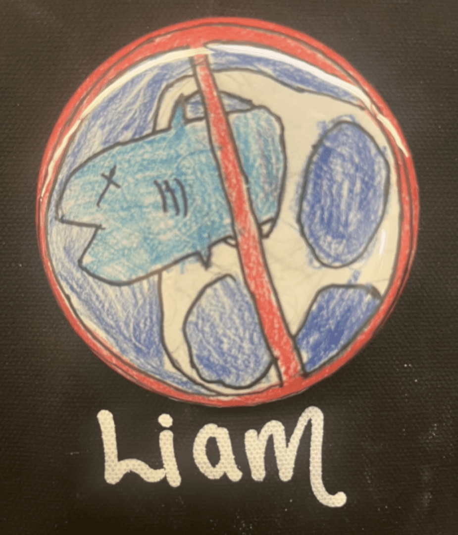 A handmade button with a drawing of a blue creature divided by a red diagonal line, labeled with the name "liam" at the bottom.